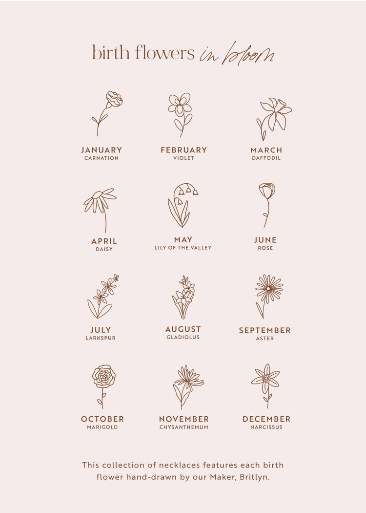 Illustrations of Hello Adorn birth flowers for each month on a light pink background.