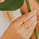 Sonder Ring