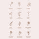 Illustrations of Hello Adorn birth flowers for each month on a light pink background.