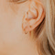 Close-up of a person's ear wearing gold earrings with blonde hair.