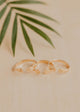 Ivy Initial Ring