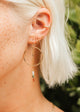 Palisade Hoops
