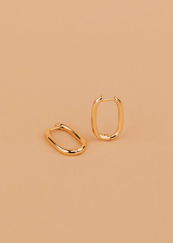 Arlo Hoops