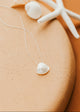Shell Necklace