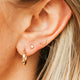 Tiny Curve Ear Climbers