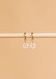 Daisy Charms