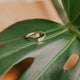 Sonder Ring