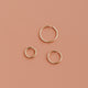 Tiny Nose Hoop