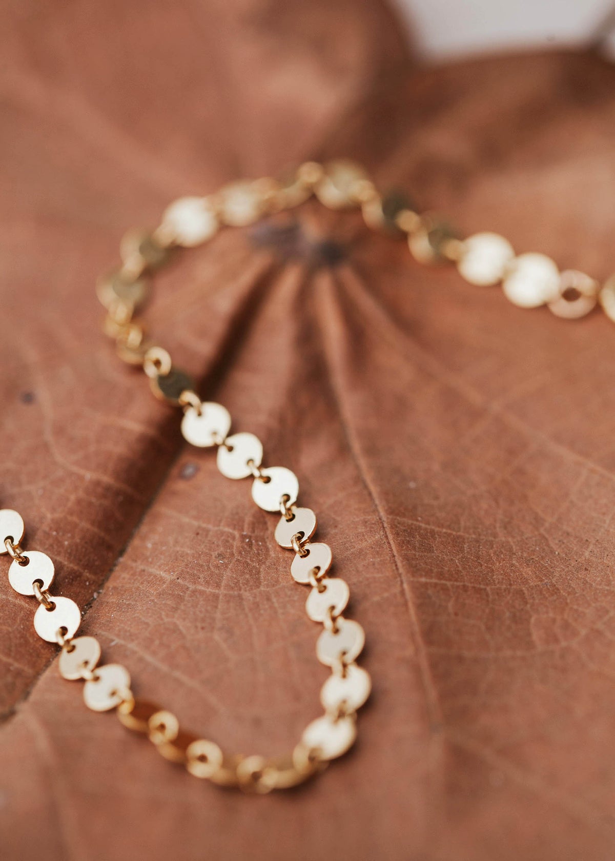 A 14kt Gold Fill chain bracelet with tiny small discs.